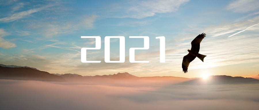 乘“峰”而上，智“盈”未来 ——2021年巅峰国际环境高级资深副总裁新年开工动员